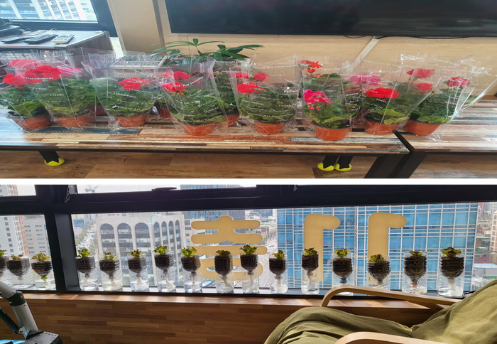 3695294320_zxRi4o2A_2715b2ebc462adf7fe20d0736bf5920b24f60cb4.png 이미지크게보기